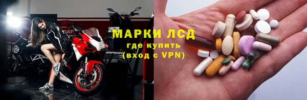 СК Абинск