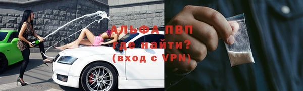 ГАЛЛЮЦИНОГЕННЫЕ ГРИБЫ Абаза