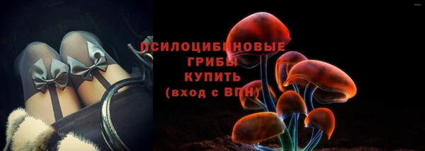 тгк Медвежьегорск