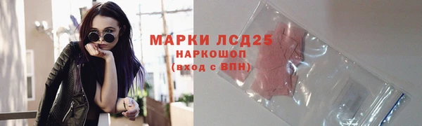 СК Абинск