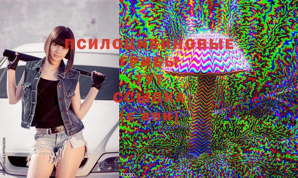 ГАЛЛЮЦИНОГЕННЫЕ ГРИБЫ Абаза