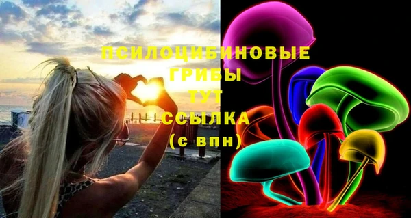 СК Абинск