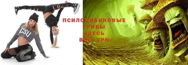 СК Абинск