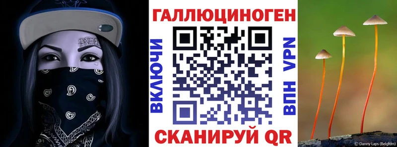 блэк спрут онион  Астрахань  Псилоцибиновые грибы прущие грибы 